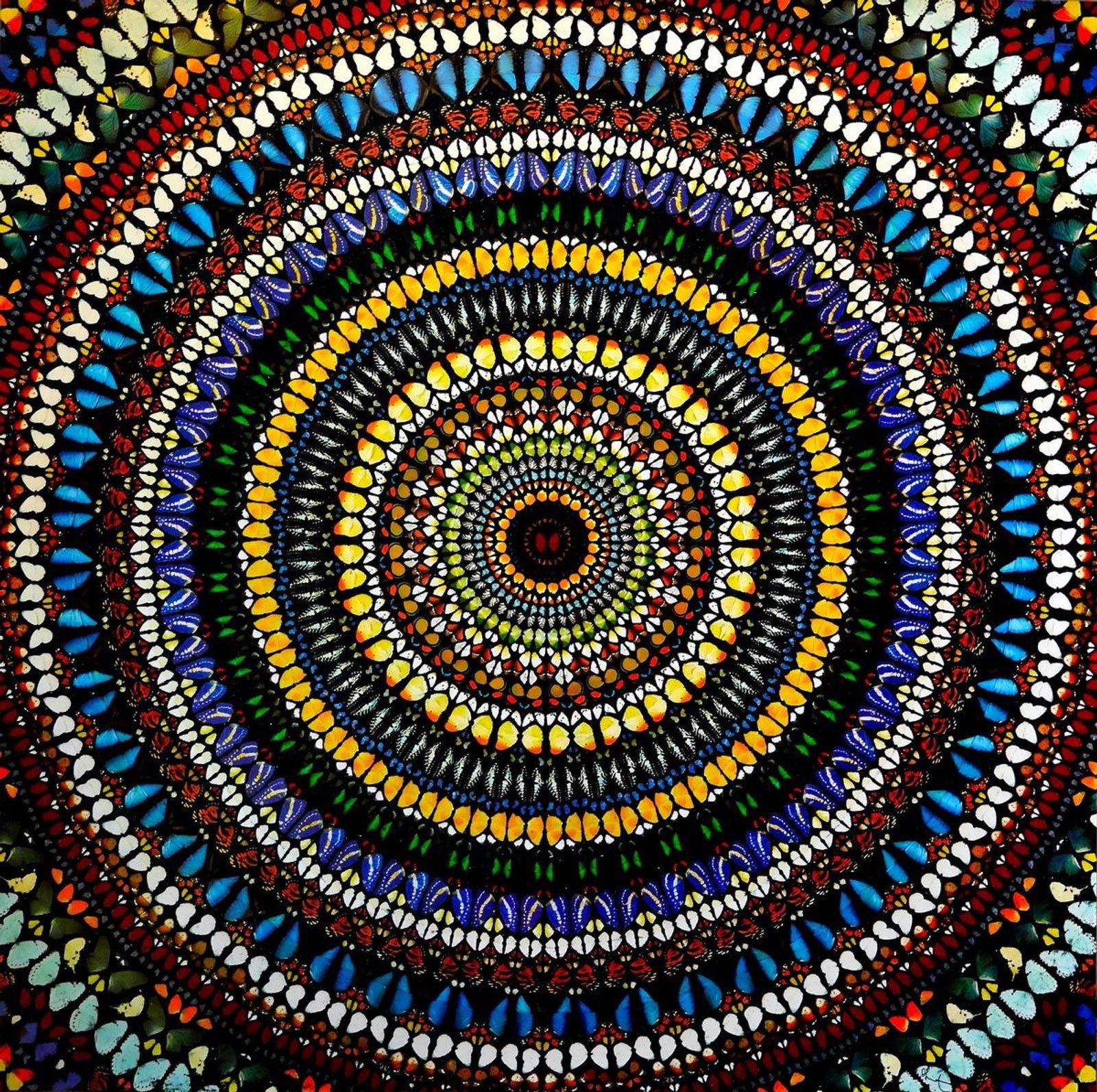 Covenant — original signed screenprint artwork by Damien Hirst, 136 x 136cm, 2013, Kaleidoscope, available at Causon Daniels