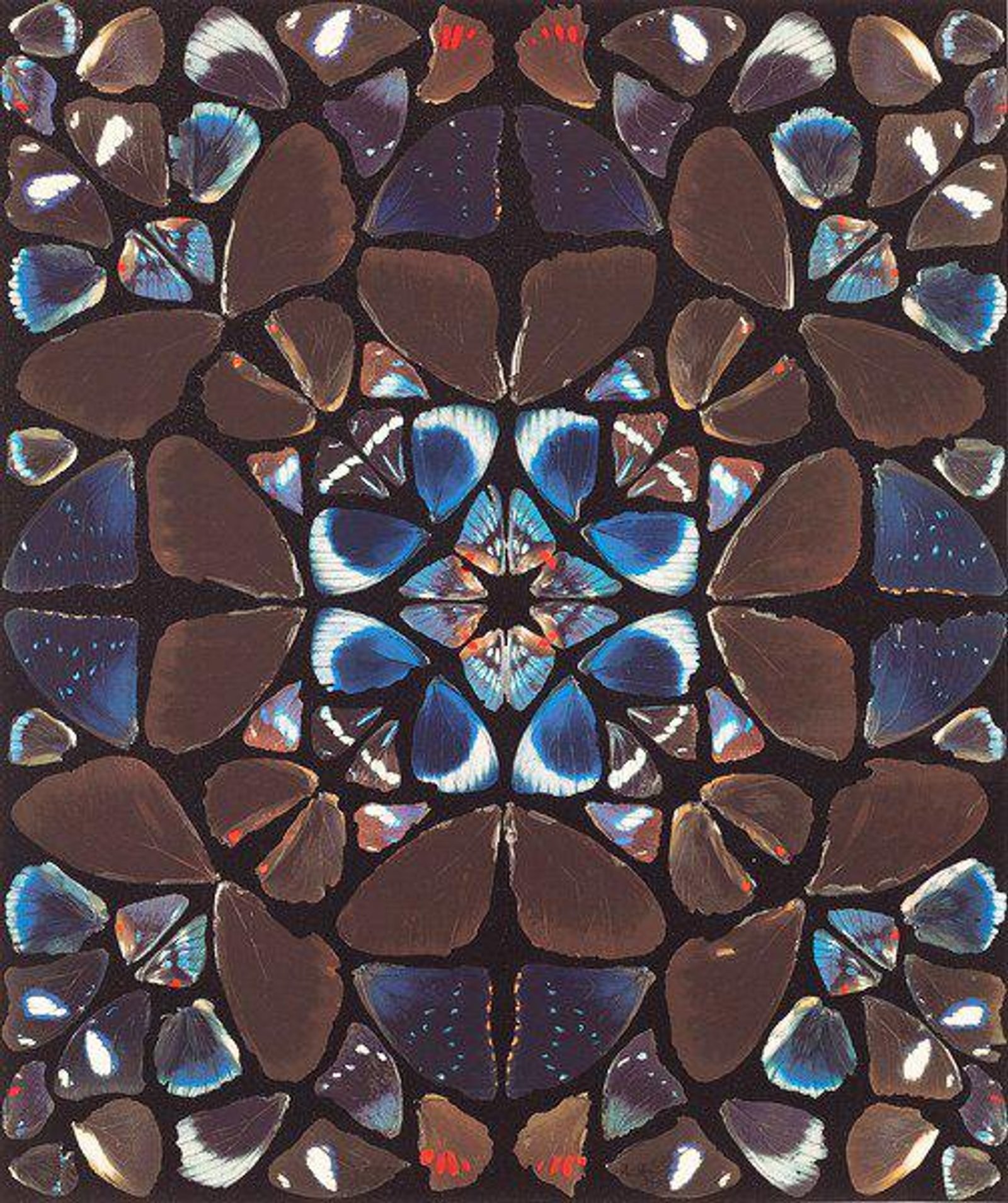 Deific — original signed screenprint artwork by Damien Hirst, 162 x 136cm, 2013, Kaleidoscope, available at Causon Daniels