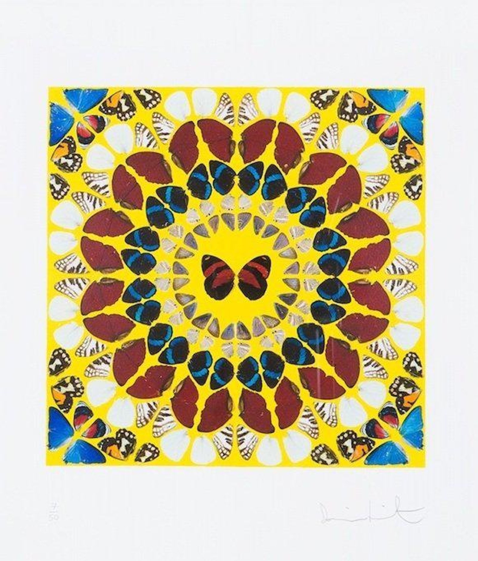 Miracle — original signed screenprint artwork by Damien Hirst, 49 x 36cm, 2015, Kaleidoscope, available at Causon Daniels